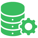 Database Management Systems